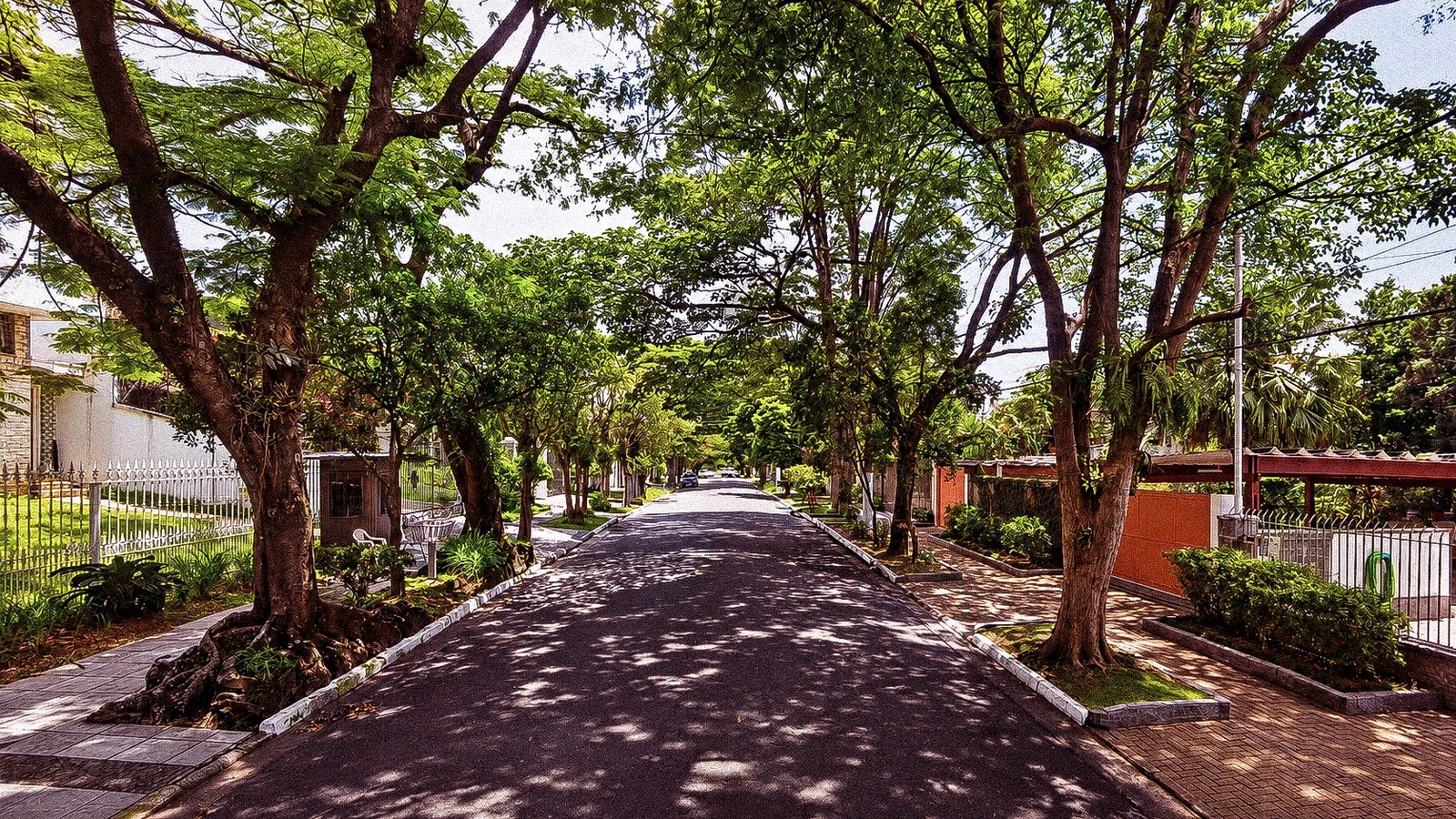 Rua residencial arborizada no Alto da Lapa